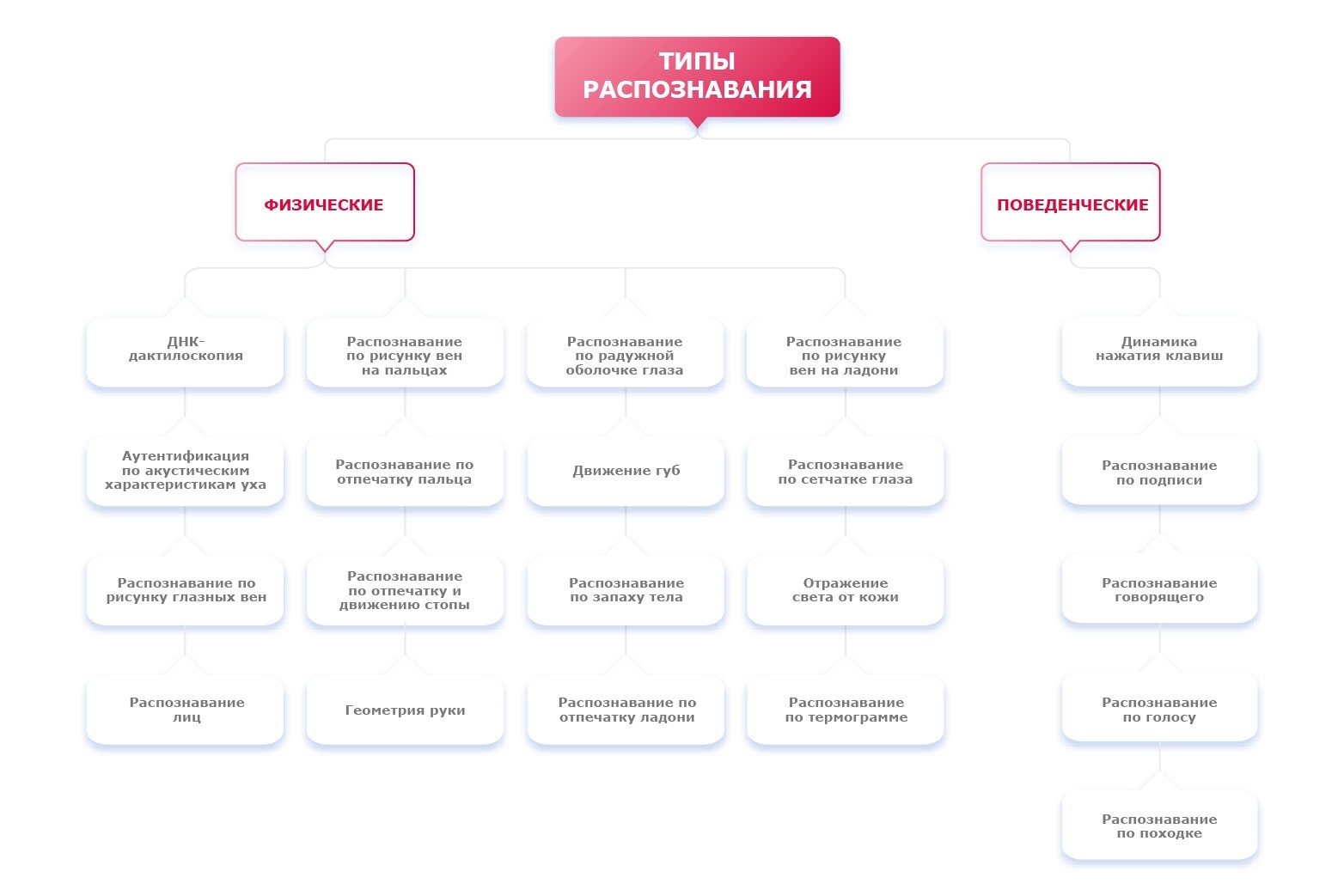 Два основных типа биометрии: физическая биометрия и поведенческая  биометрия| РекФэйсис